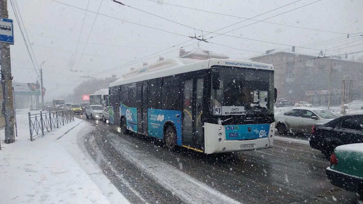 Под середину осени по Омской области пройдет метель