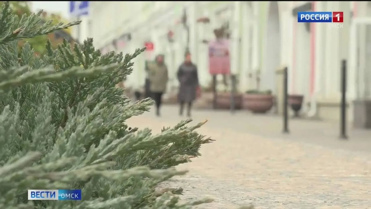 В Омской области ожидается похолодание: снег, гололедица и порывы ветра