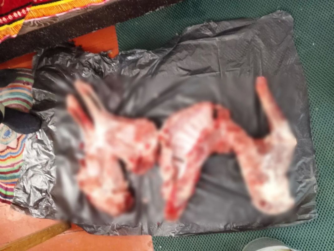 В Колосовском районе местный житель уличен в незаконной охоте и хранении оружия