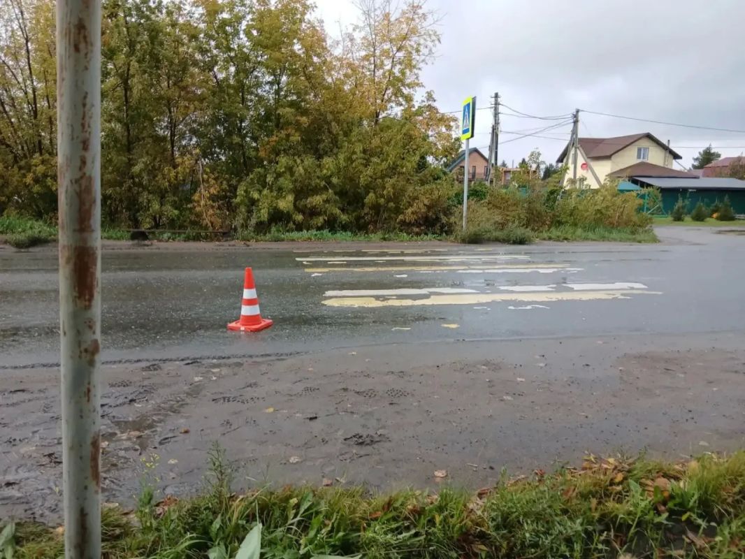 Сегодня в 14:05 часов в Госавтоинспекцию поступило сообщение о ДТП, в котором пострадал ребёнок Сегодня в 14:05 часов в Госавтоинспекцию поступило сообщение о ДТП, в котором пострадал ребёнок