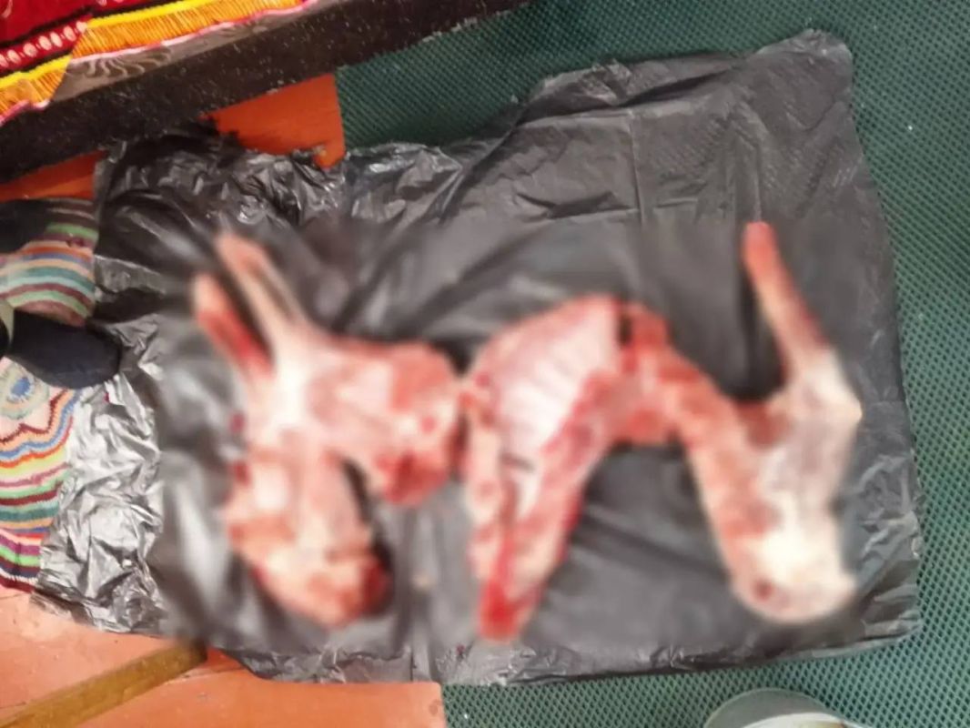 В Колосовском районе местный житель уличен в незаконной охоте и хранении оружия В Колосовском районе местный житель уличен в незаконной охоте и хранении оружия