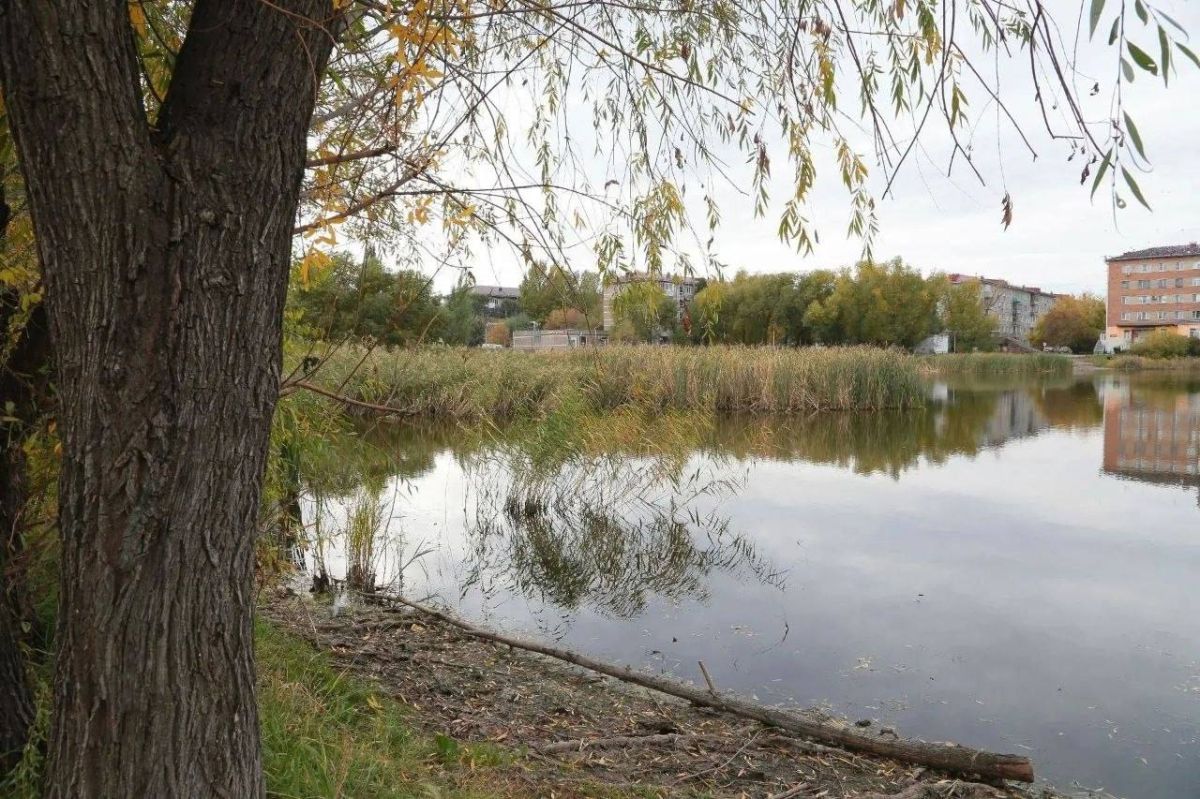 В Авиагородке Омска благоустроят территорию возле школы искусств