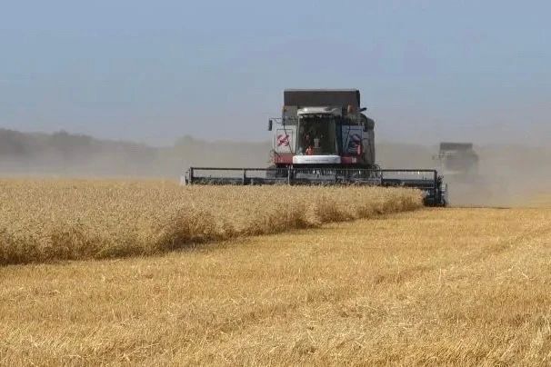 Аграрии региона намолотили почти 2,7 млн тонн зерна