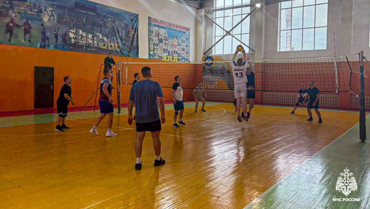 Памятный турнир по волейболу: дань уважения А.Ю. Моисееву от омского гарнизона Памятный турнир по волейболу: дань уважения А.Ю. Моисееву от омского гарнизона