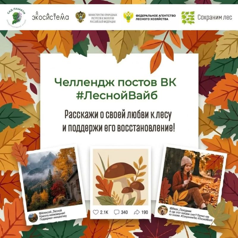 Челлендж #ЛеснойВайб: расскажи свою лесную историю и получи шанс выиграть крутой «лесной» приз