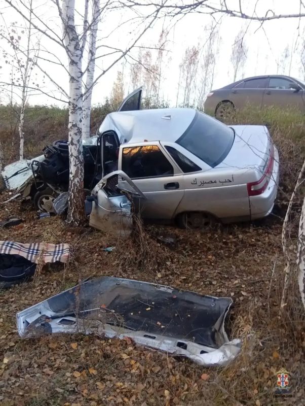 Госавтоинспекторы разбираются в обстоятельствах смертельного ДТП в Кормиловском районе Госавтоинспекторы разбираются в обстоятельствах смертельного ДТП в Кормиловском районе
