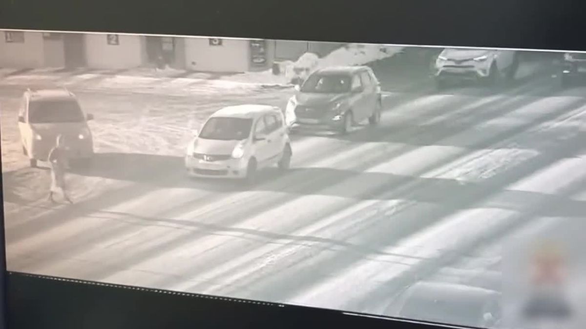 В Омске прокуратура направила в суд уголовное дело по факту наезда на женщину на пешеходном переходе