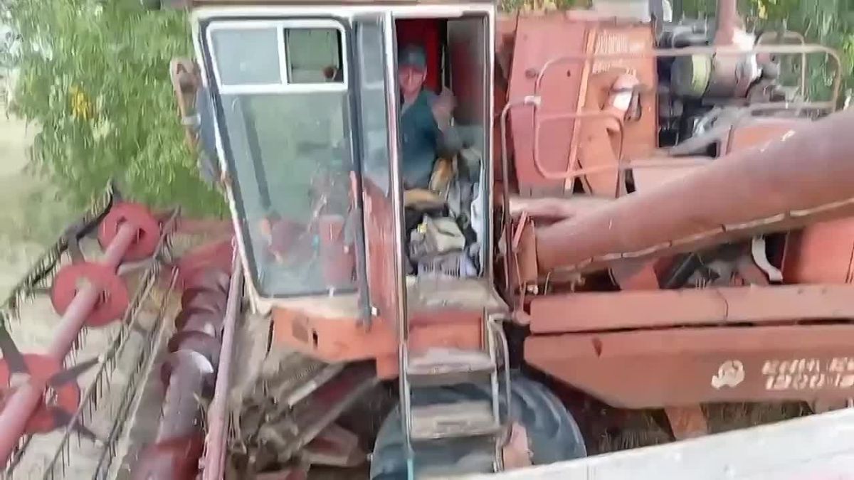 Уборочная кампания в стадии завершения