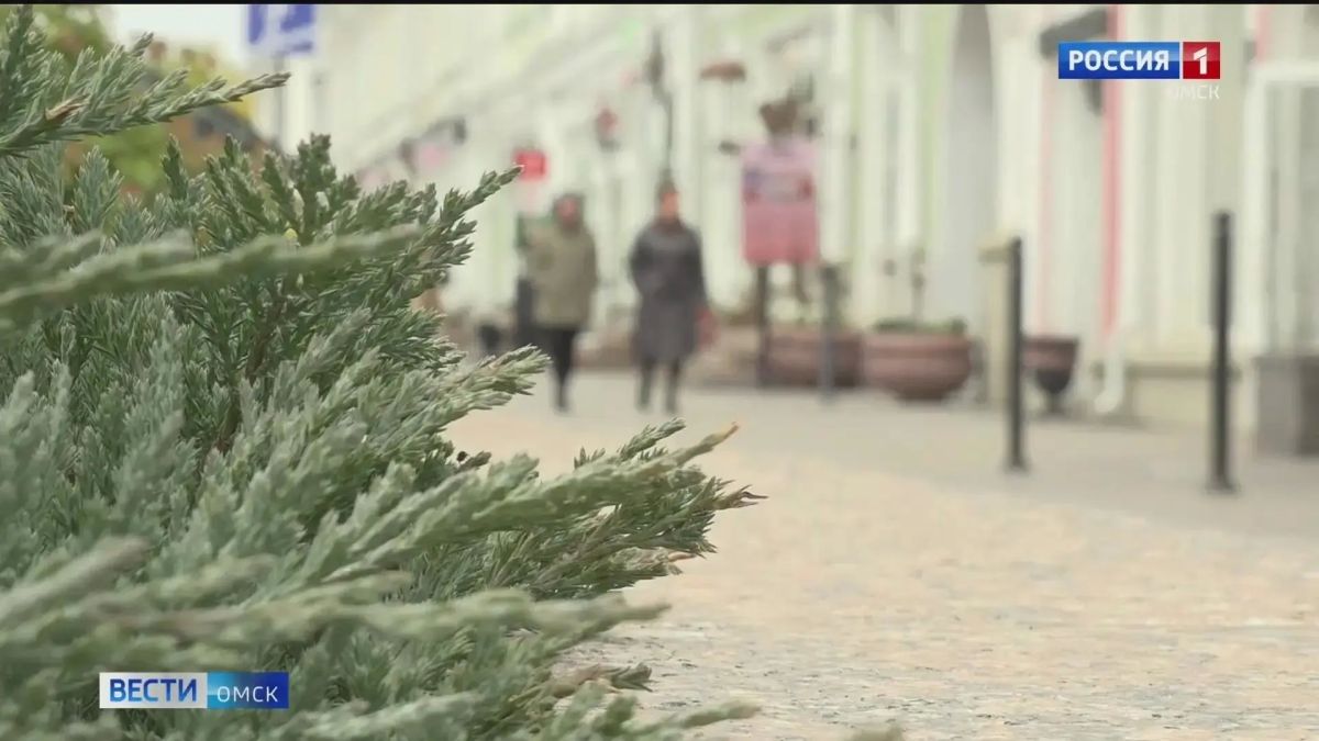 МЧС Омской области предупреждает об ухудшении погоды