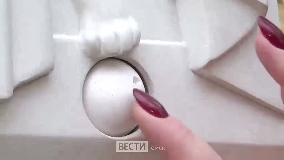 В Омске открыли памятник театральной кошке