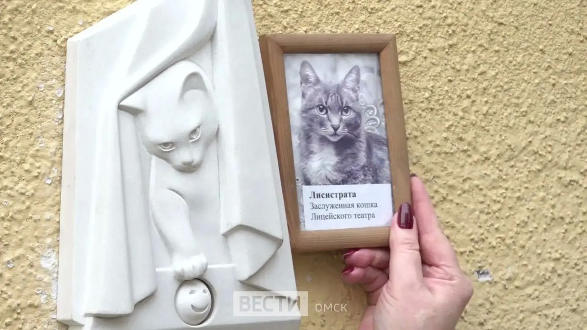 В Омске открыли памятник театральной кошке В Омске открыли памятник театральной кошке