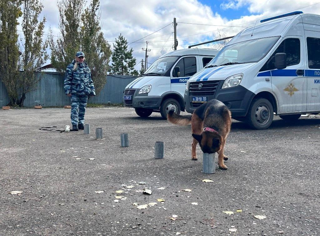 Школьники посетили центр кинологической службы омской полиции Школьники посетили центр кинологической службы омской полиции