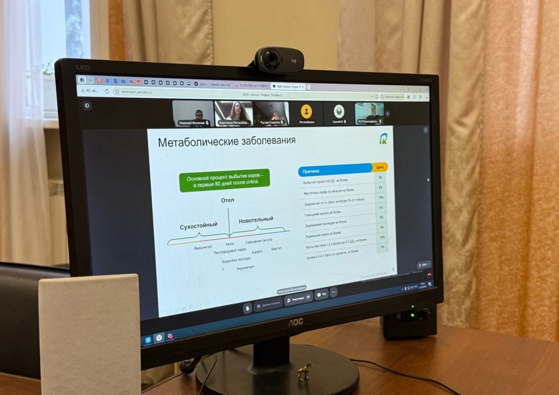 Состоялся практический онлайн-семинар «Ферма сегодня: корма, технологии, прибыль» Состоялся практический онлайн-семинар «Ферма сегодня: корма, технологии, прибыль»