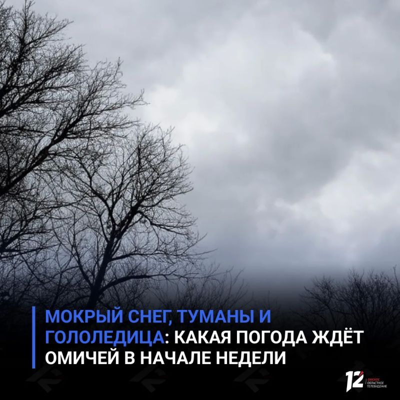 Мокрый снег, туманы и гололедица: какая погода ждёт омичей в начале недели