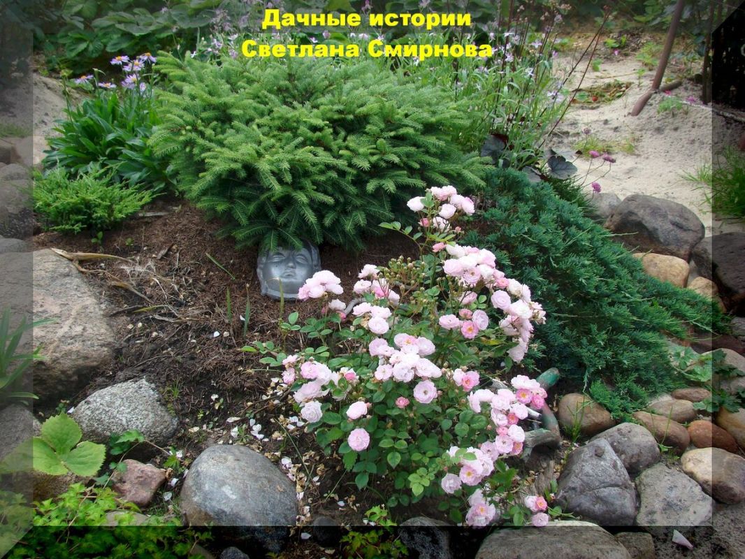 Уникальный цветник на даче: труд и вдохновение