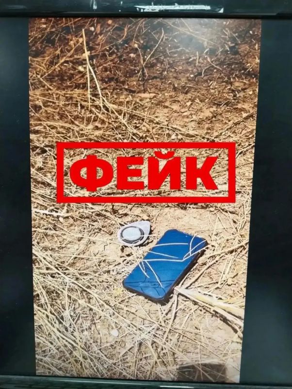 В Омске распространяется фейк об опасных «лепестках» после атаки БПЛА В Омске распространяется фейк об опасных «лепестках» после атаки БПЛА