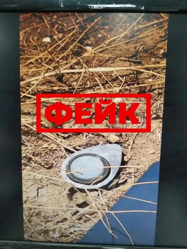 В Омске распространяется фейк об опасных «лепестках» после атаки БПЛА