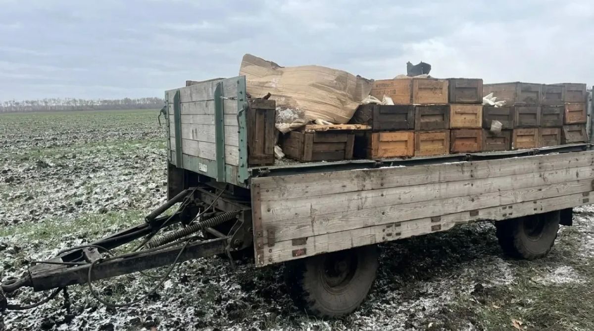 Омской межрайонной природоохранной прокуратурой организована проверка по факту образования несанкционированных свалок опасных отходов Омской межрайонной природоохранной прокуратурой организована проверка по факту образования несанкционированных свалок опасных отходов